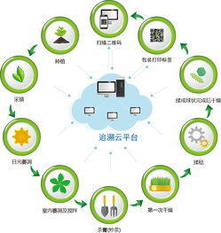 茶叶行业二维码追溯系统开发方案